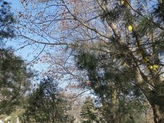 -秦岭终南山世界地质公园翠华山景区
