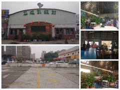 门面-石岐乳鸽村(桥观坊南四巷店)