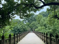-南山植物园