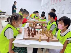 -常青藤国际象棋(新奥店)