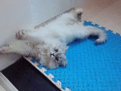 -王红军龙虾(新民路店)