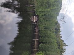 -广州市帽峰山景区