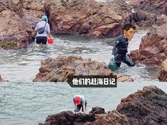 -西涌国际滨海旅游区
