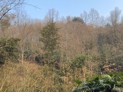-青城山
