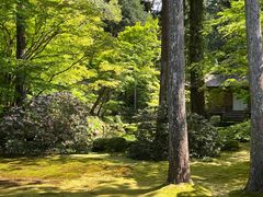 -三千院