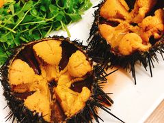 -海胆小馆(东北水饺·春柳店)