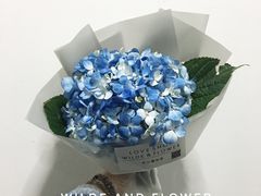 -王尔德与花