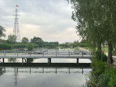 -白洋淀景区