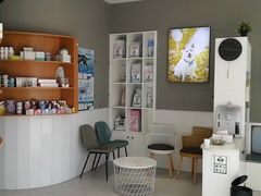 -关爱宠物医院·猫科中心·消化科(滨湖万达分院)