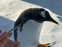 -沈阳奥林匹克体育中心