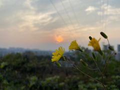 -仙海旅游度假区