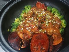 -粤凤佬