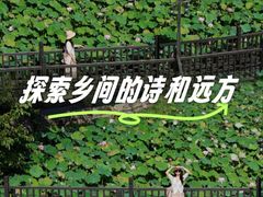 -乌镇望津里精品酒店