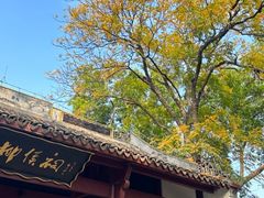 -柳侯公园
