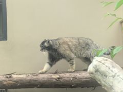 -青藏高原野生动物园