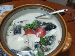 -全乐鱼馆·淳牌有机鱼直营店