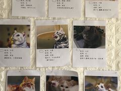 -平行世界·猫咖(首经贸店)