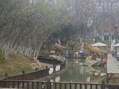 -青枫公园