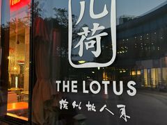 -几荷·恰似故人来(秀水广场店)