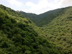 -东部华侨城