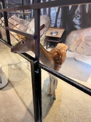 -酷嗒动物文化乐园(cutezoo西溪乐天城店)