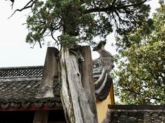 -太平天国侍王府