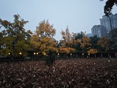 -四川大学(华西校区)