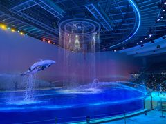 -上海海昌海洋公园