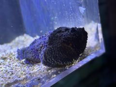 -郑州海洋馆
