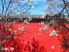 -天坛公园