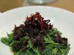炝油黑皮鸡枞拌麦瓜尖-云腾食府·云南菜
