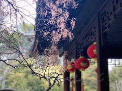 -上海醉白池公园