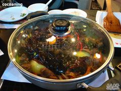 牛腩锅-黄记煌三汁焖锅(广州曜一城店)