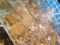 -元一希尔顿酒店·禅自助餐厅·啤酒花园