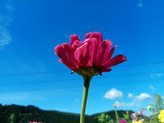 -天女山森林公园