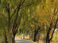 -野鸭湖国家湿地公园