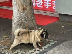 -双冰面馆(茶南店)