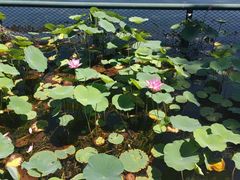 -长亭酒肆.武夷菜(鼓楼后海店)