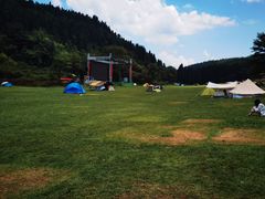 -武陵山森林公园