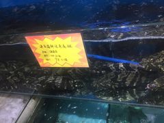 -蚝专家(北滘店)