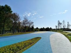 -南汇新城城市公园