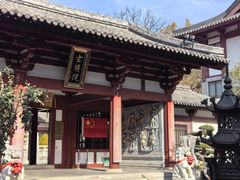 -灵谷景区