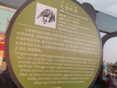 -无锡动物园·太湖欢乐园