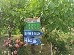-第五季龙水凤港生态露营农场