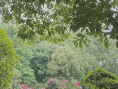 -东湖落雁景区