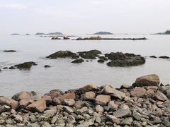 -野狸岛