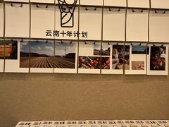 -Seesaw Coffee(武商MALL·武广店)