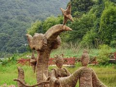 -广州市石门国家森林公园
