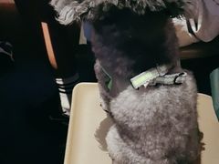 -宽来·欢聚火锅(来福士广场水景店)
