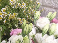 -雪蔓之鲜花气球派对(家佳源时代中心店)